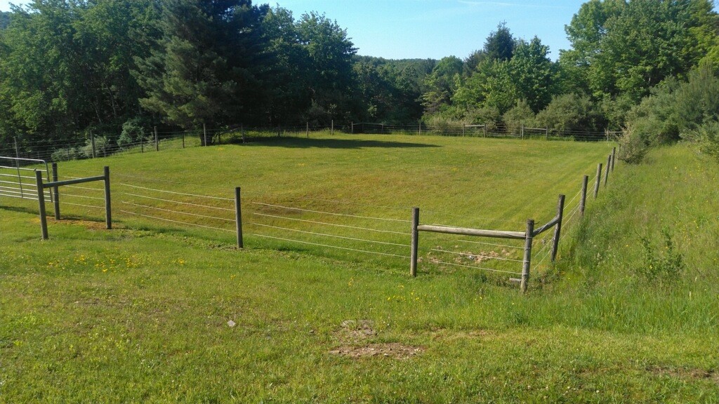 651 Powderhouse Road Vestal, NY 13850 - Photo 36 of 49 Gallery Image 36