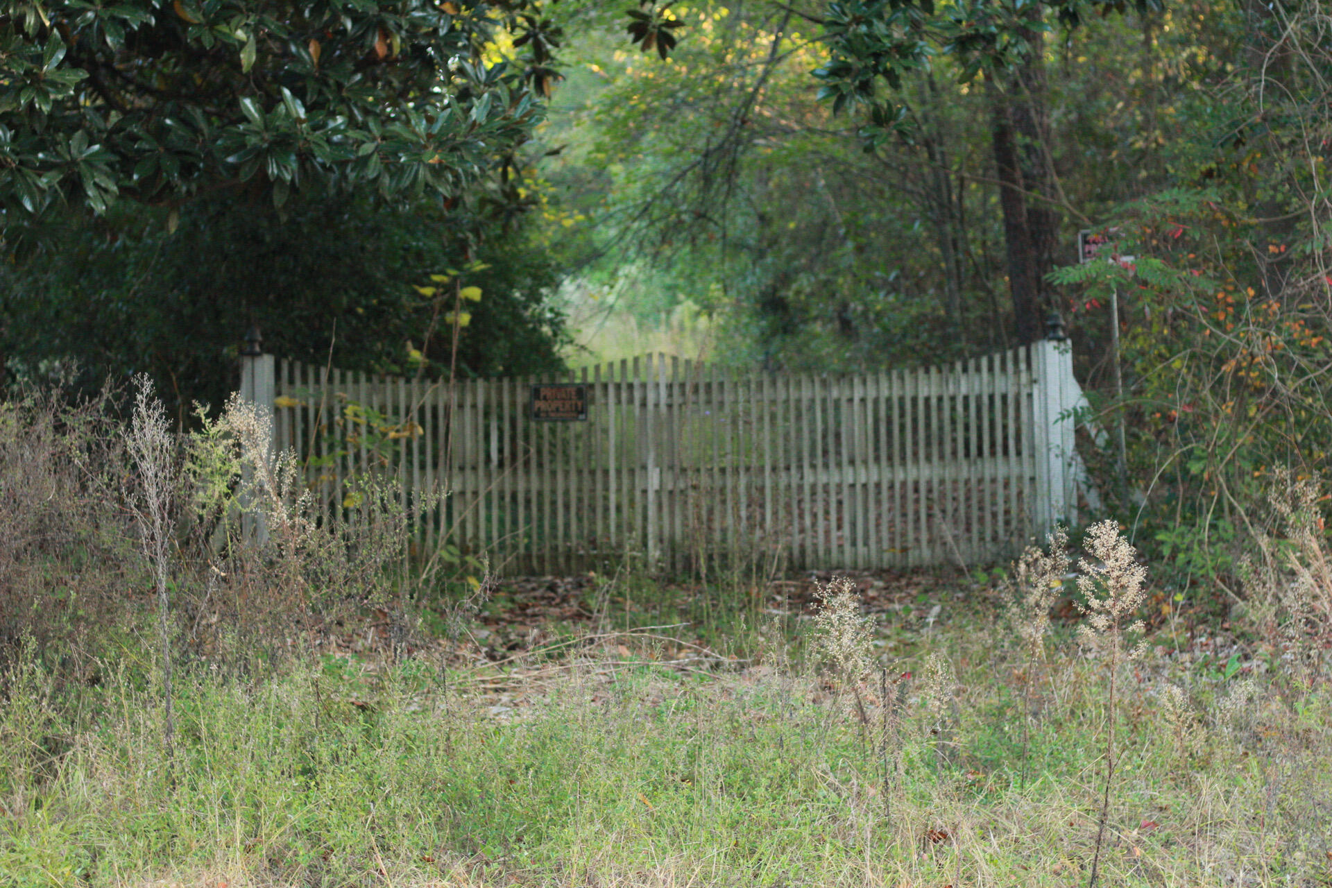844 Belvedere Clearwater Road North Augusta, SC 29841 - Photo 1 of 3 View from Belvedere Clearwater Rd
