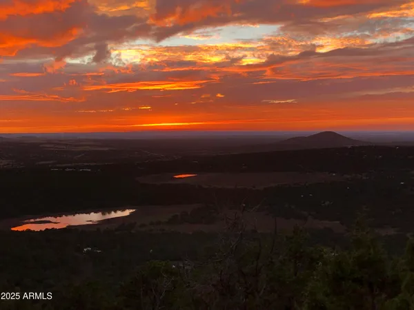 a view of a pathway with a yard