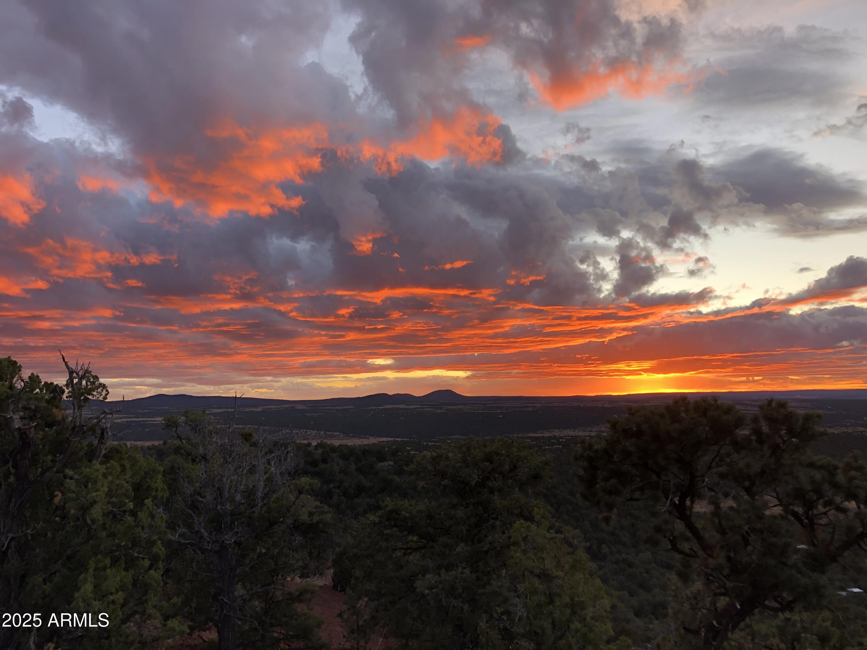 80 N3313 Show Low, AZ 85901 - Photo 47 of 50