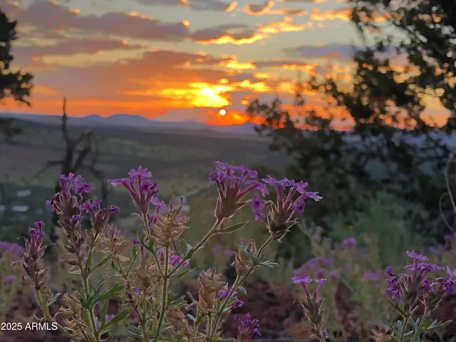 $825,000 | 80 N3313, Show Low, AZ 85901