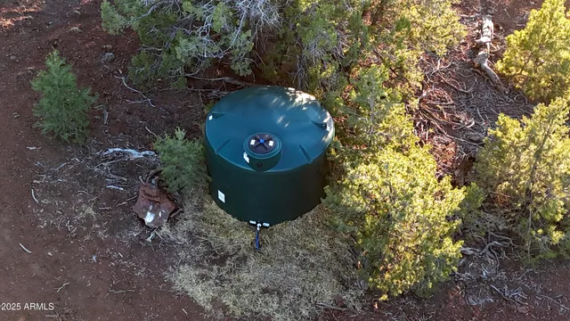 a view of a tree in a yard