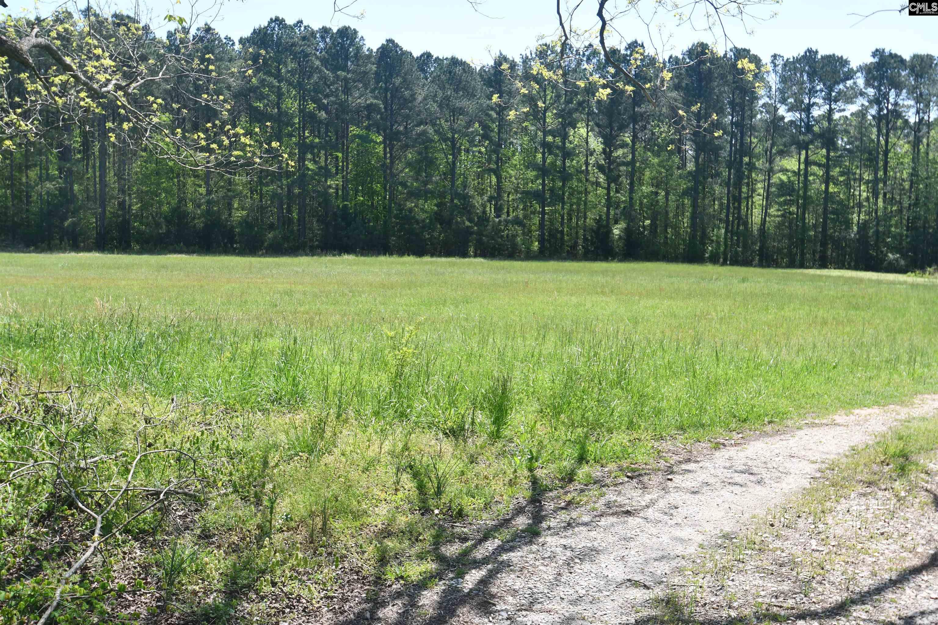 999 Halsellville Road Chester, SC 29706 - Photo 5 of 44