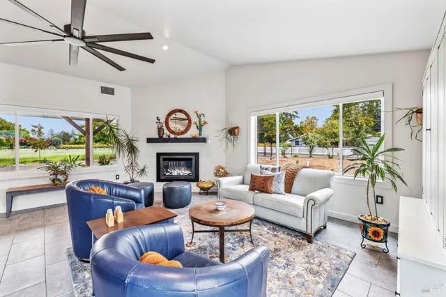 a living room with furniture and a potted plant