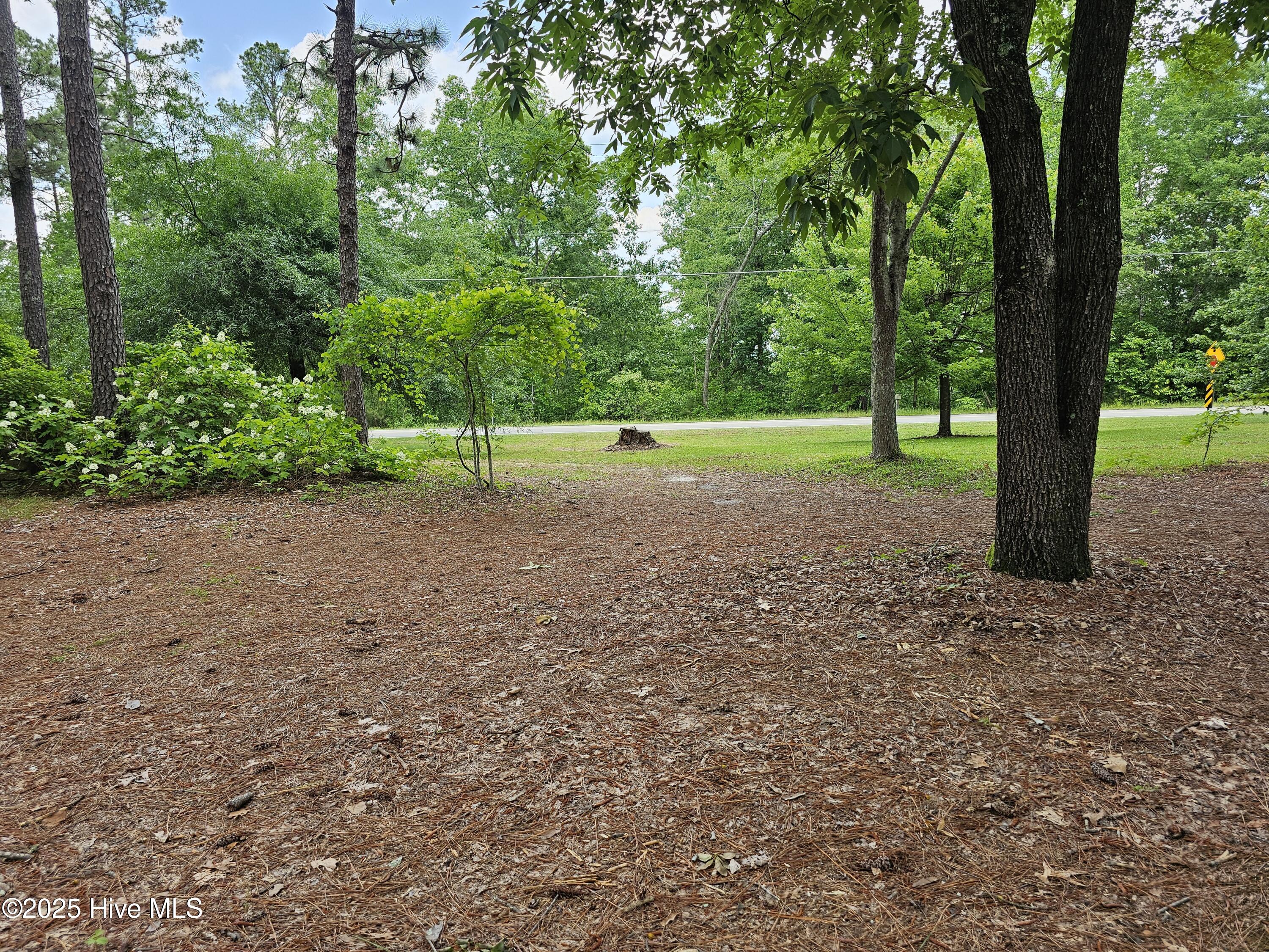 181 Joel Road Carthage, NC 28327 - Photo 14 of 33 20250515_135923