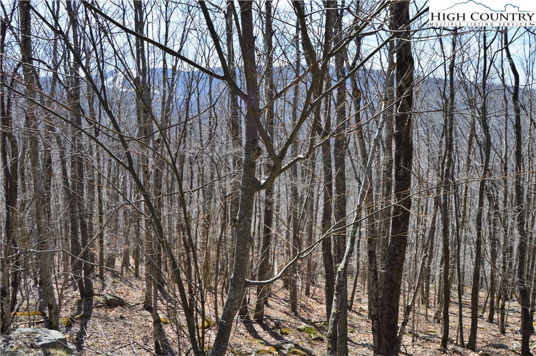 137 Lower Grouse Ridge Road Beech Mountain, NC 28604 - Photo 1 of 11 Gallery Image 1