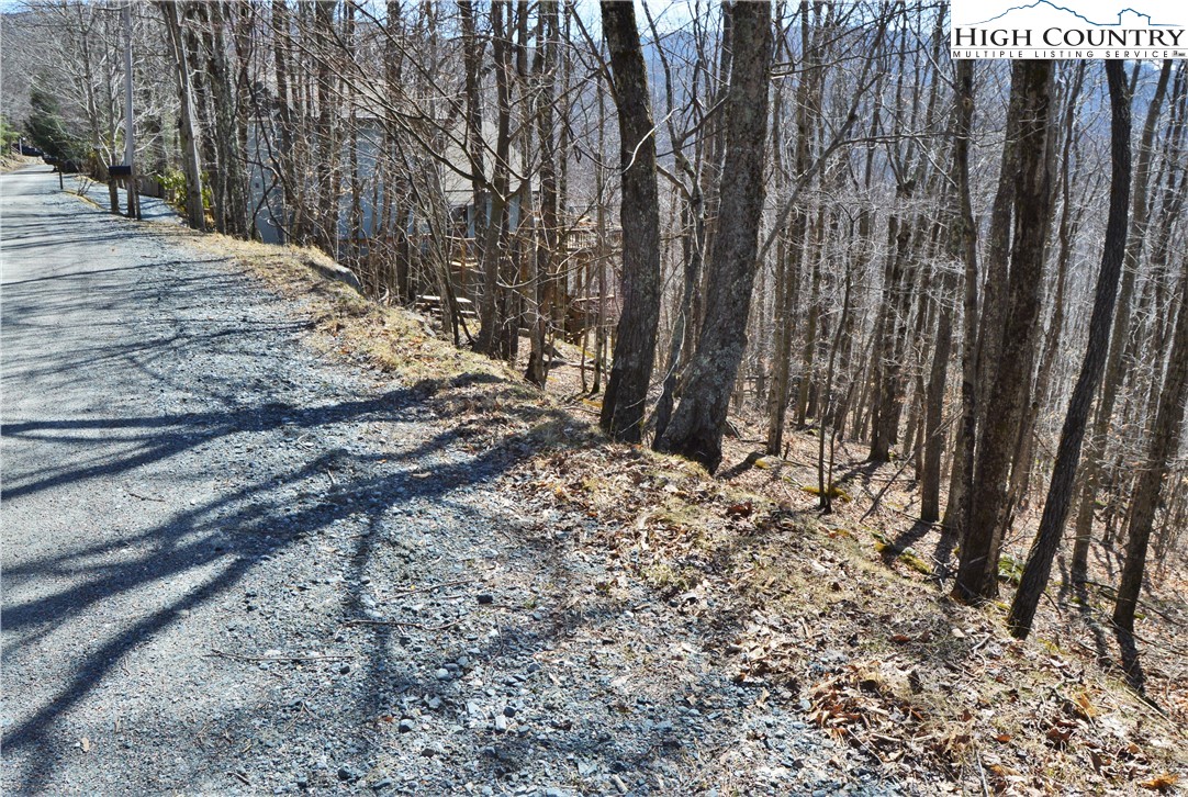 137 Lower Grouse Ridge Road Beech Mountain, NC 28604 - Photo 4 of 11 Gallery Image 4