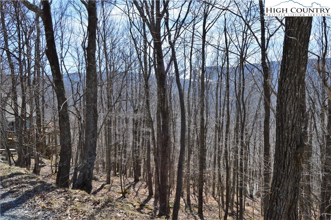 137 Lower Grouse Ridge Road Beech Mountain, NC 28604 - Photo 5 of 11 Gallery Image 5