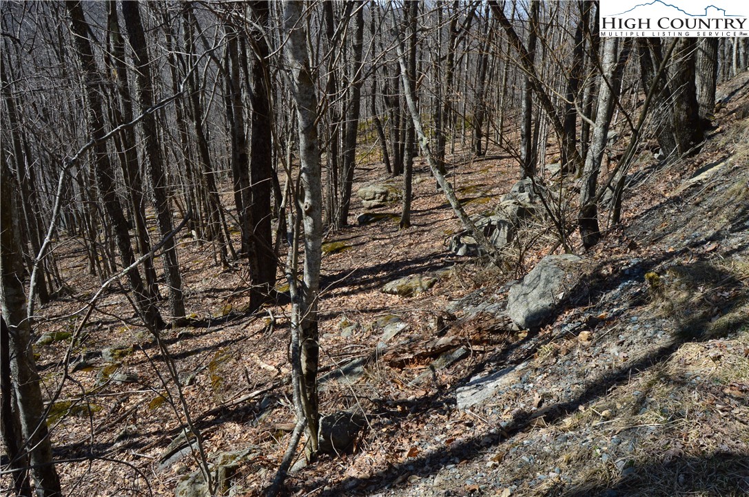 137 Lower Grouse Ridge Road Beech Mountain, NC 28604 - Photo 8 of 11 Gallery Image 8