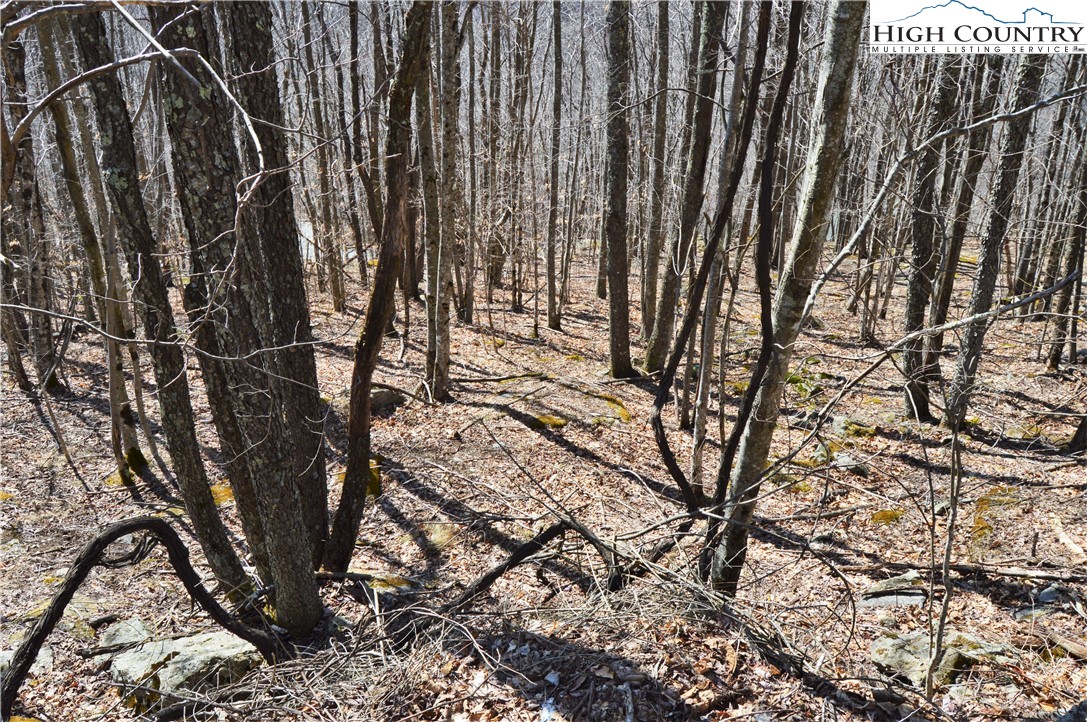 137 Lower Grouse Ridge Road Beech Mountain, NC 28604 - Photo 9 of 11 Gallery Image 9