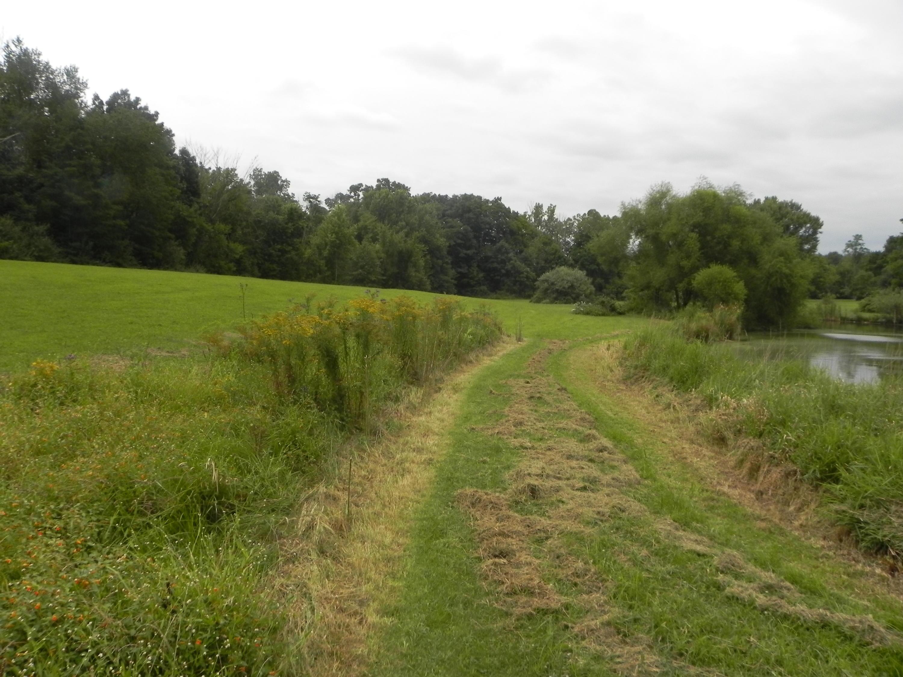7518 National Road Southwest Etna, OH 43062 - Photo 20 of 26
