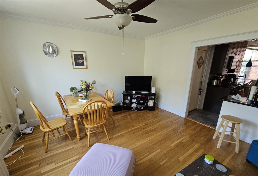 229 Freeman Street, Unit 3 Brookline, MA 02446 - Photo 10 of 10