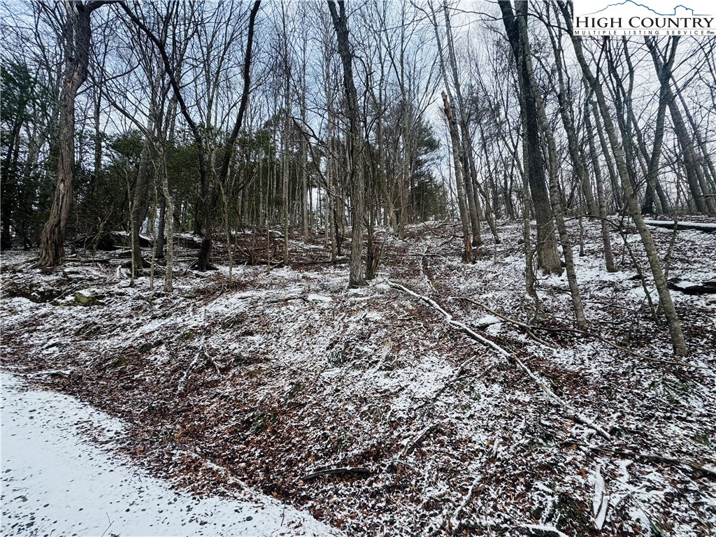 Lot 9-11 Hidden Mountain Road Crumpler, NC 28617 - Photo 4 of 9