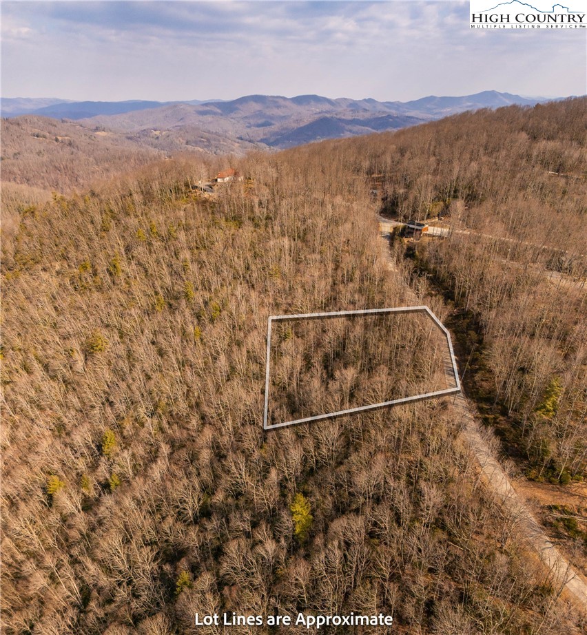 1122 Pine Ridge Road Beech Mountain, NC 28604 - Photo 5 of 38 a view of a mountain