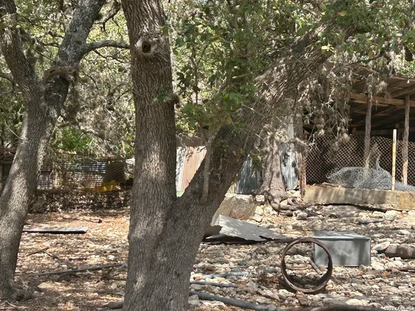 a view of outdoor space with trees