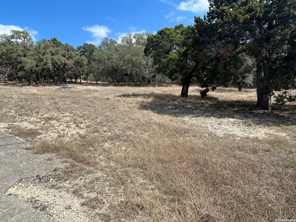 a view of a yard with a tree