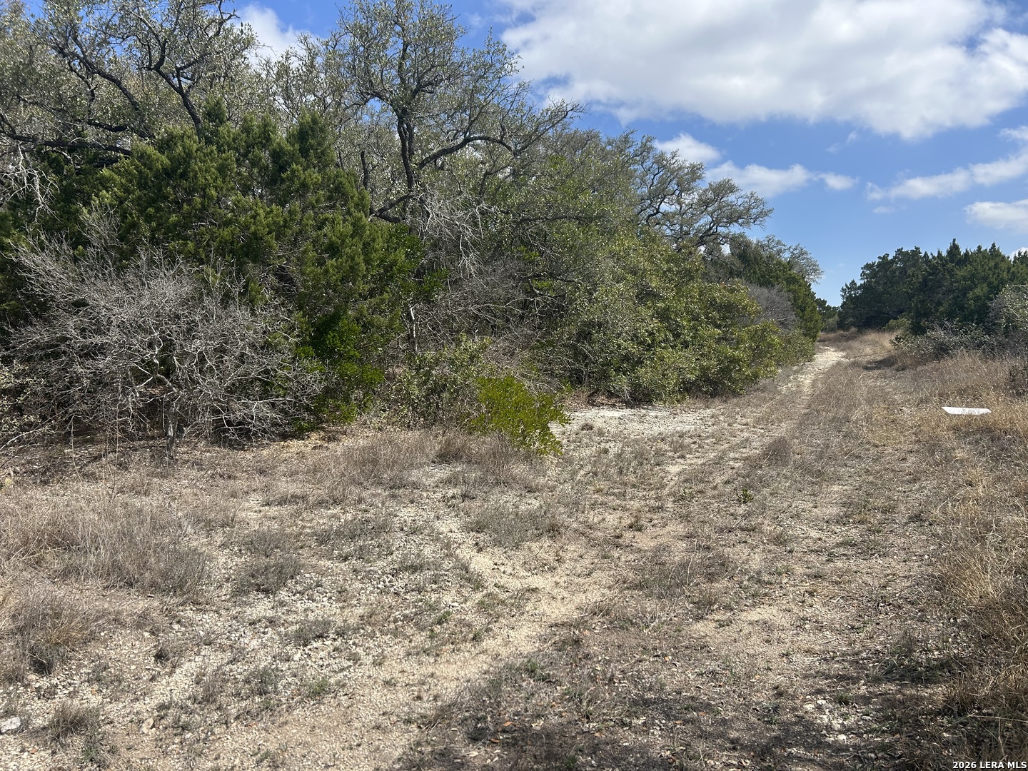 18810 Bandera Road Helotes, TX 78023 - Photo 13 of 29 a view of a yard with a tree