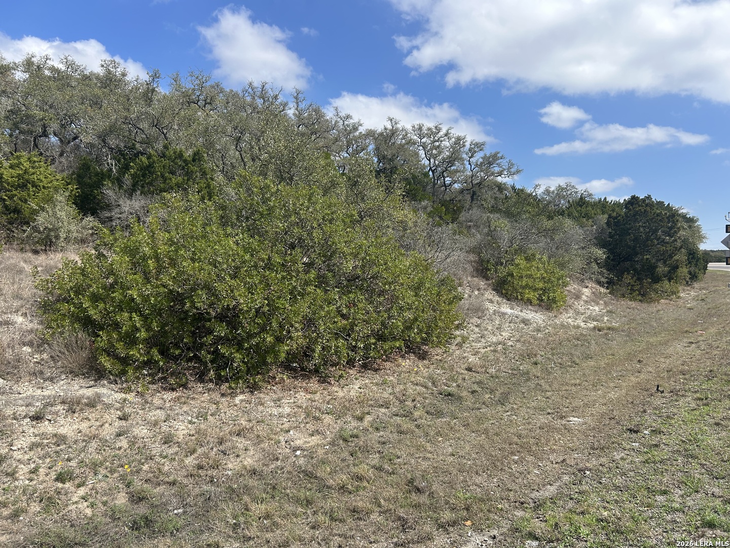 18810 Bandera Road Helotes, TX 78023 - Photo 15 of 29 a view of a yard with a tree