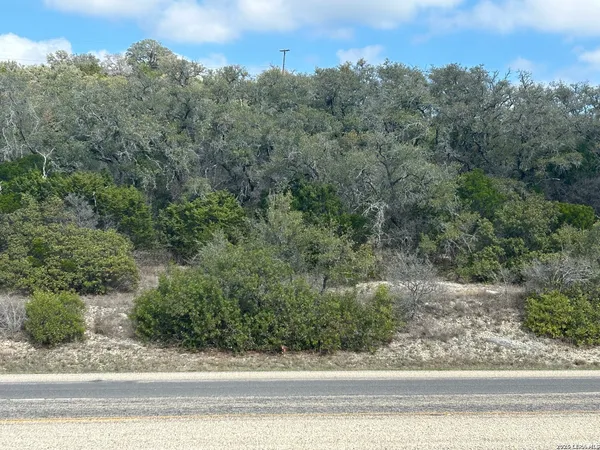 a view of a yard and mountain view in back