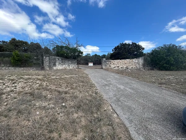 a view of a dry yard with trees