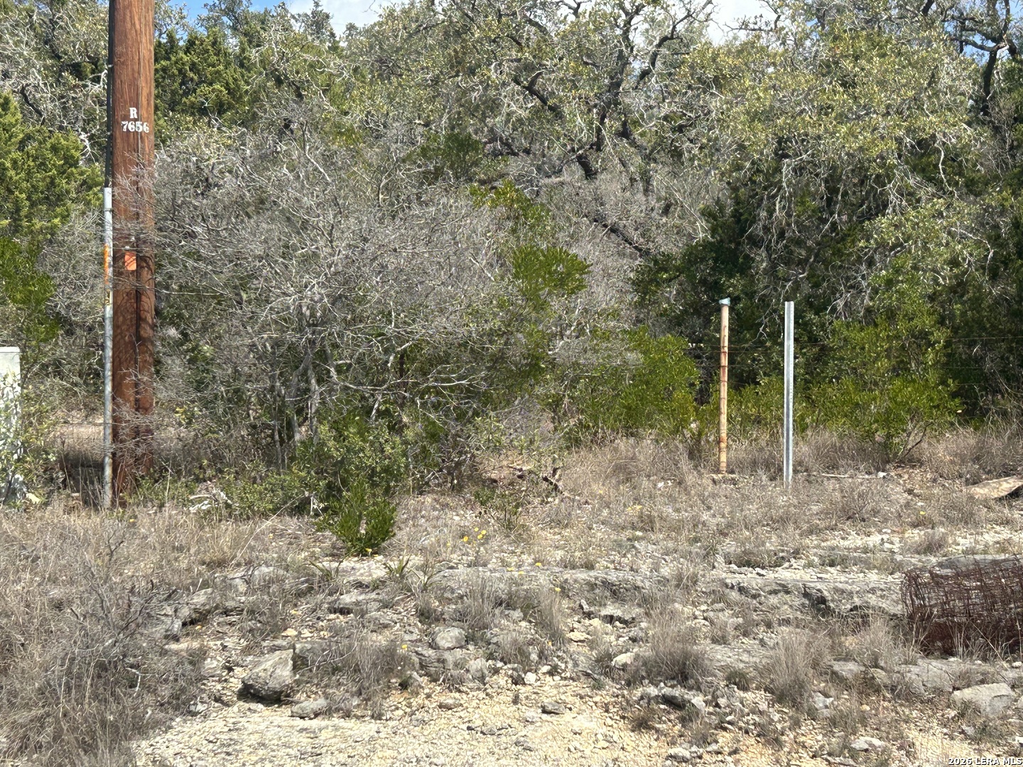 18810 Bandera Road Helotes, TX 78023 - Photo 22 of 29 a view of a forest filled with trees