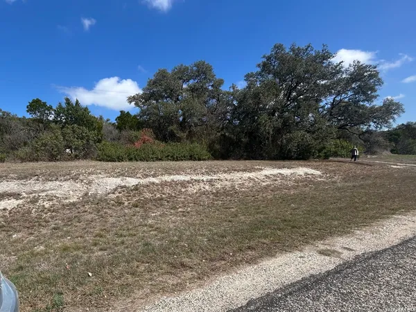 a view of a city from a yard