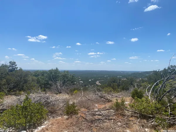 a view of a dry yard with lots of green space