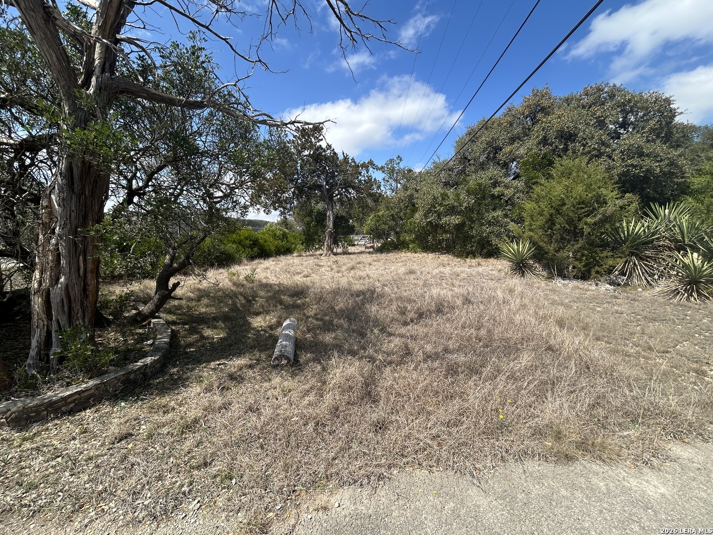 18810 Bandera Road Helotes, TX 78023 - Photo 7 of 29 a view of a yard with a tree