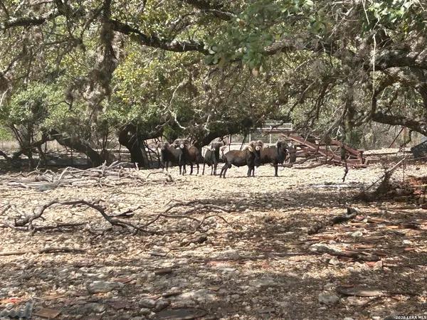 a view of covered with snow