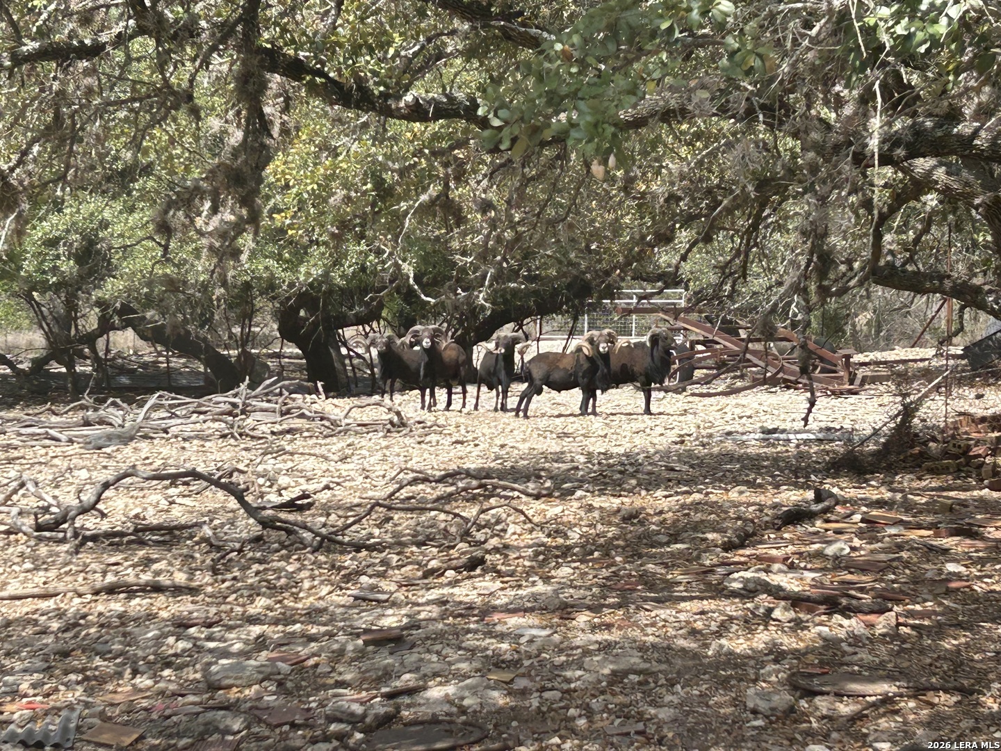 18810 Bandera Road Helotes, TX 78023 - Photo 10 of 29 a view of covered with snow