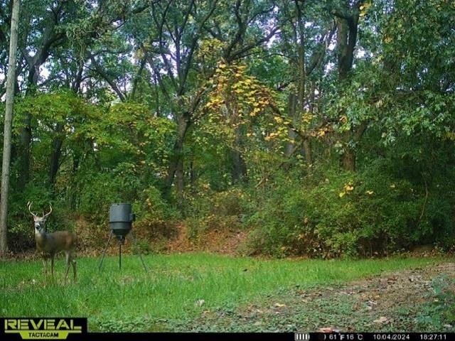 16400 Fish Lake Road Holly, MI 48442 - Photo 27 of 29 Gallery Image 27
