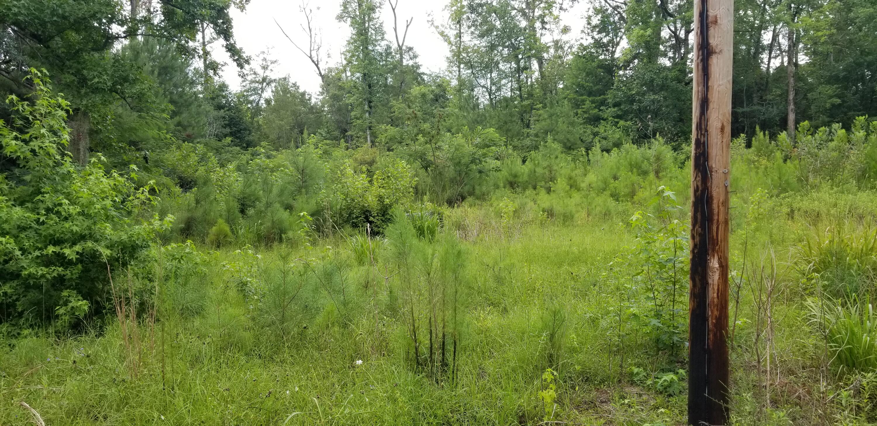 4942 Jacksonboro Road Round O, SC 29474 - Photo 1 of 10 20250703_120432