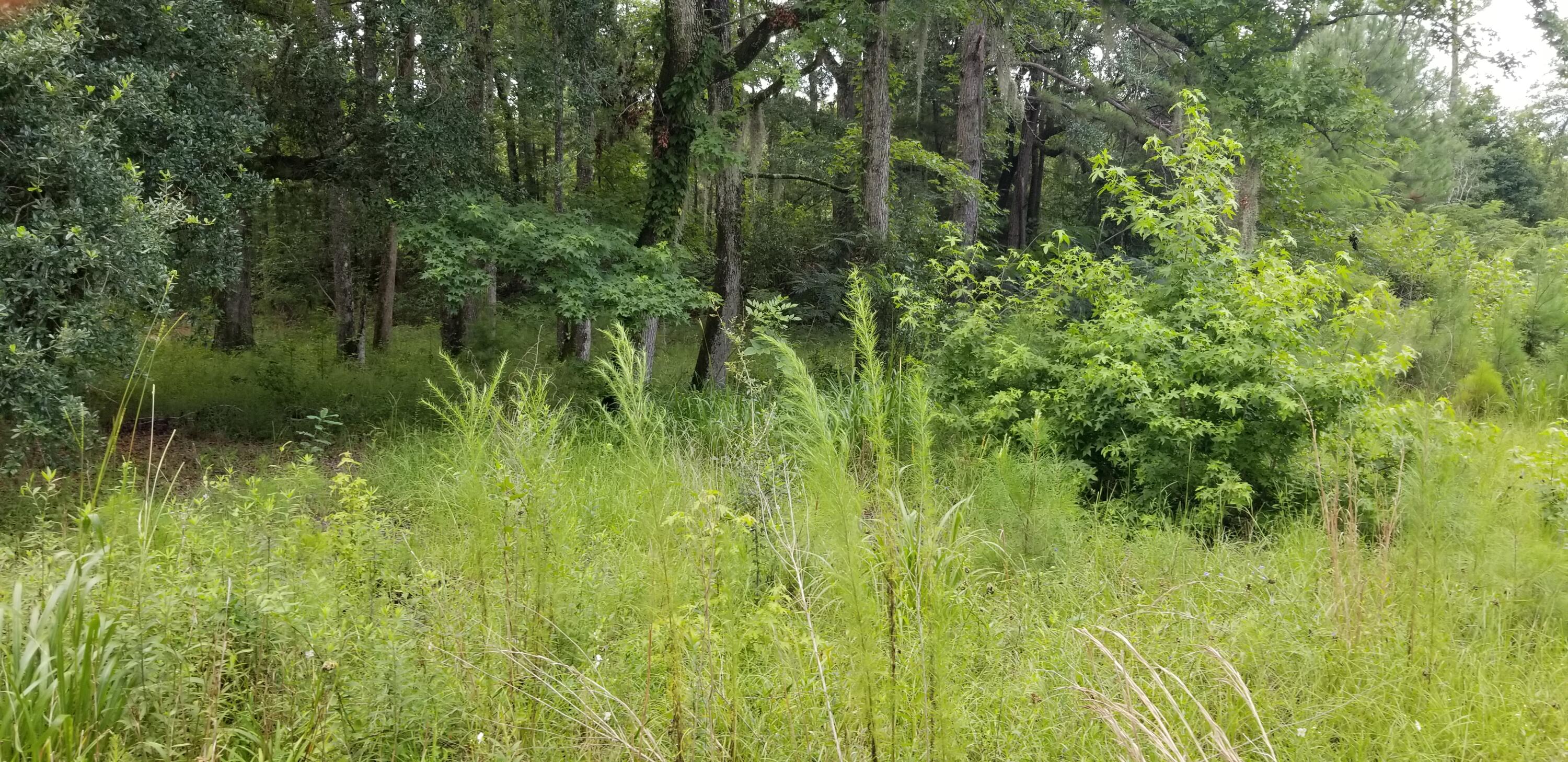 4942 Jacksonboro Road Round O, SC 29474 - Photo 2 of 10 20250703_120436