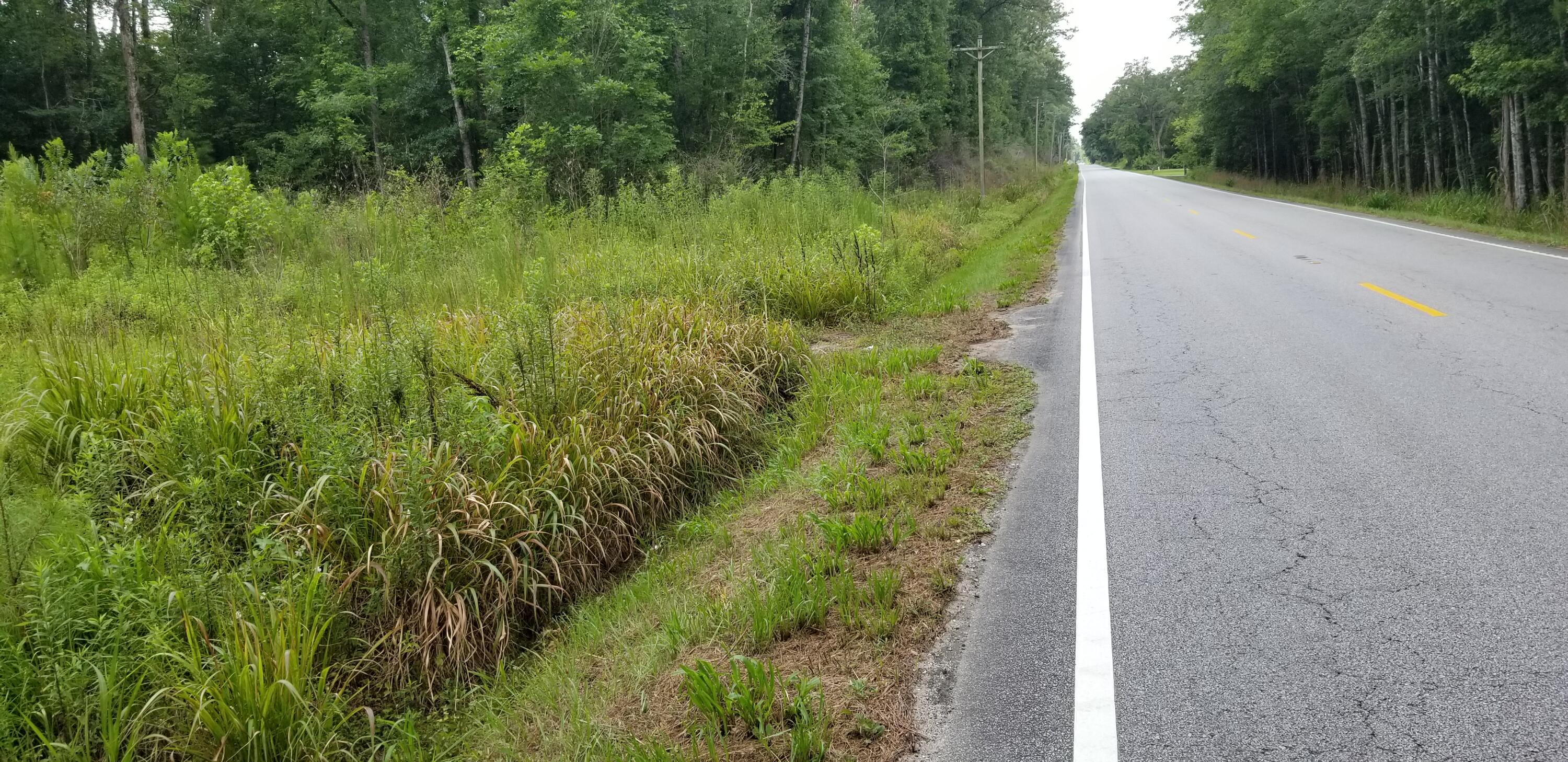 4942 Jacksonboro Road Round O, SC 29474 - Photo 3 of 10 20250703_120452