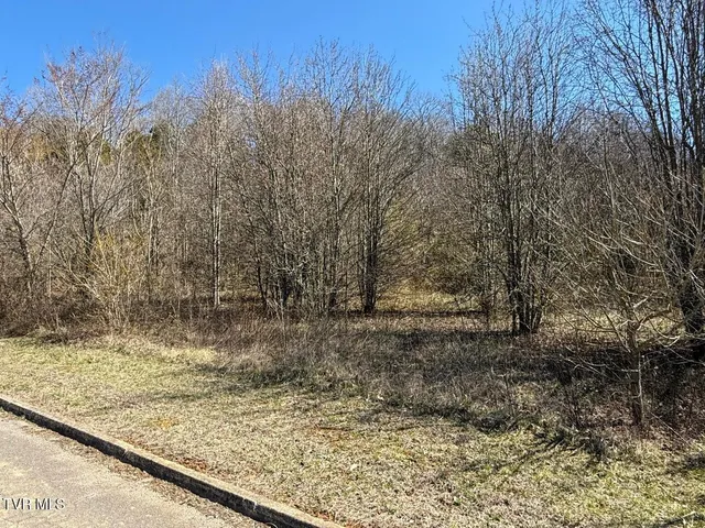$100,000 | Lot 62 Secluded River Circle, Parrottsville, TN 37843