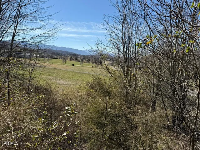 $100,000 | Lot 62 Secluded River Circle, Parrottsville, TN 37843