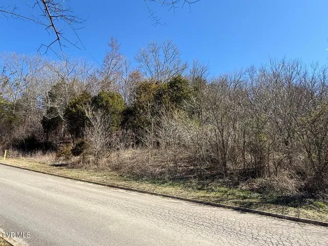 $100,000 | Lot 62 Secluded River Circle, Parrottsville, TN 37843