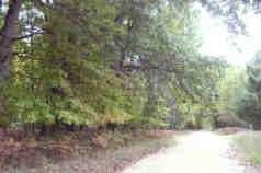 5480 East Bennett Road, Unit D Free Soil, MI 49411 - Photo 3 of 4 Additional Photo