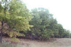 5480 East Bennett Road, Unit D Free Soil, MI 49411 - Photo 4 of 4 Additional Photo