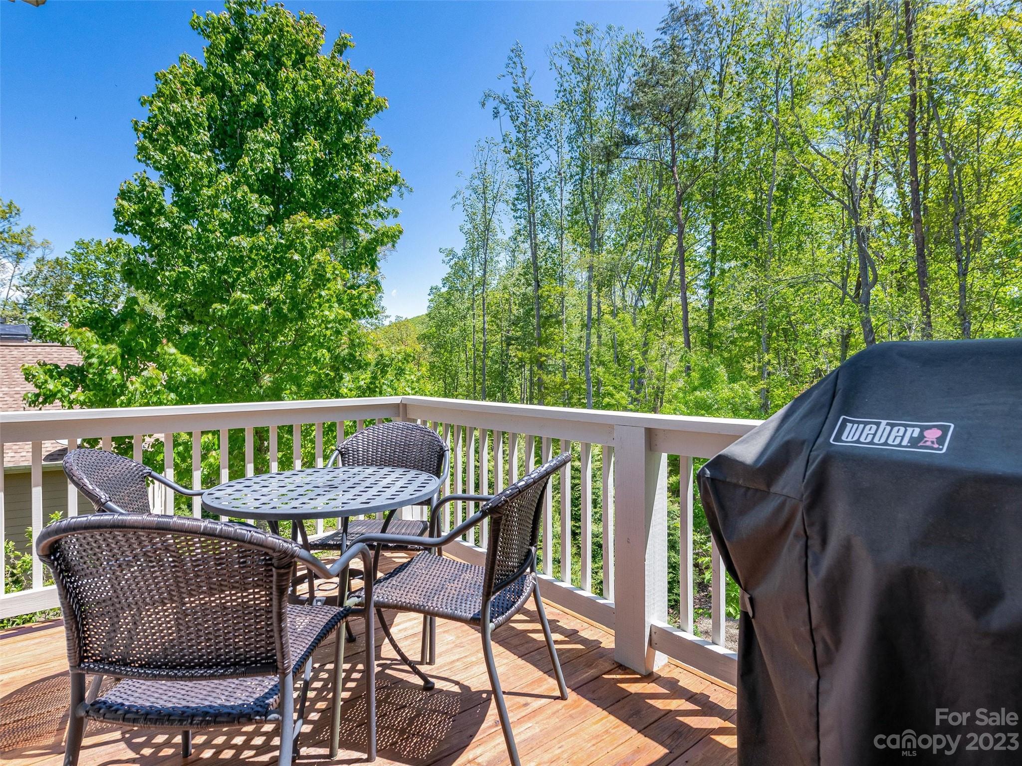 8 Estatoe Gap Road Biltmore Lake, NC 28715 - Photo 21 of 35 Gallery Image 21