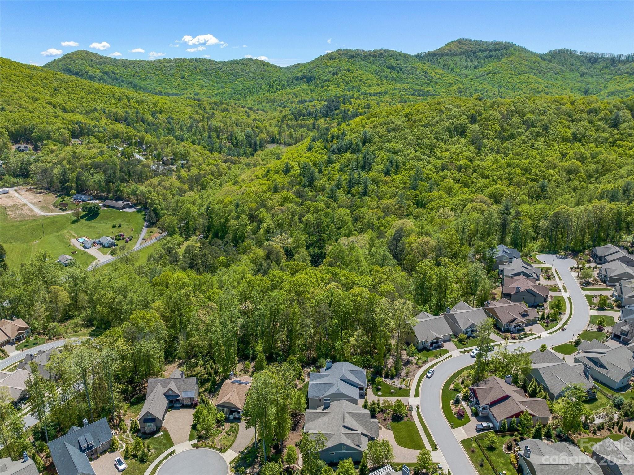 8 Estatoe Gap Road Biltmore Lake, NC 28715 - Photo 29 of 35 Gallery Image 29