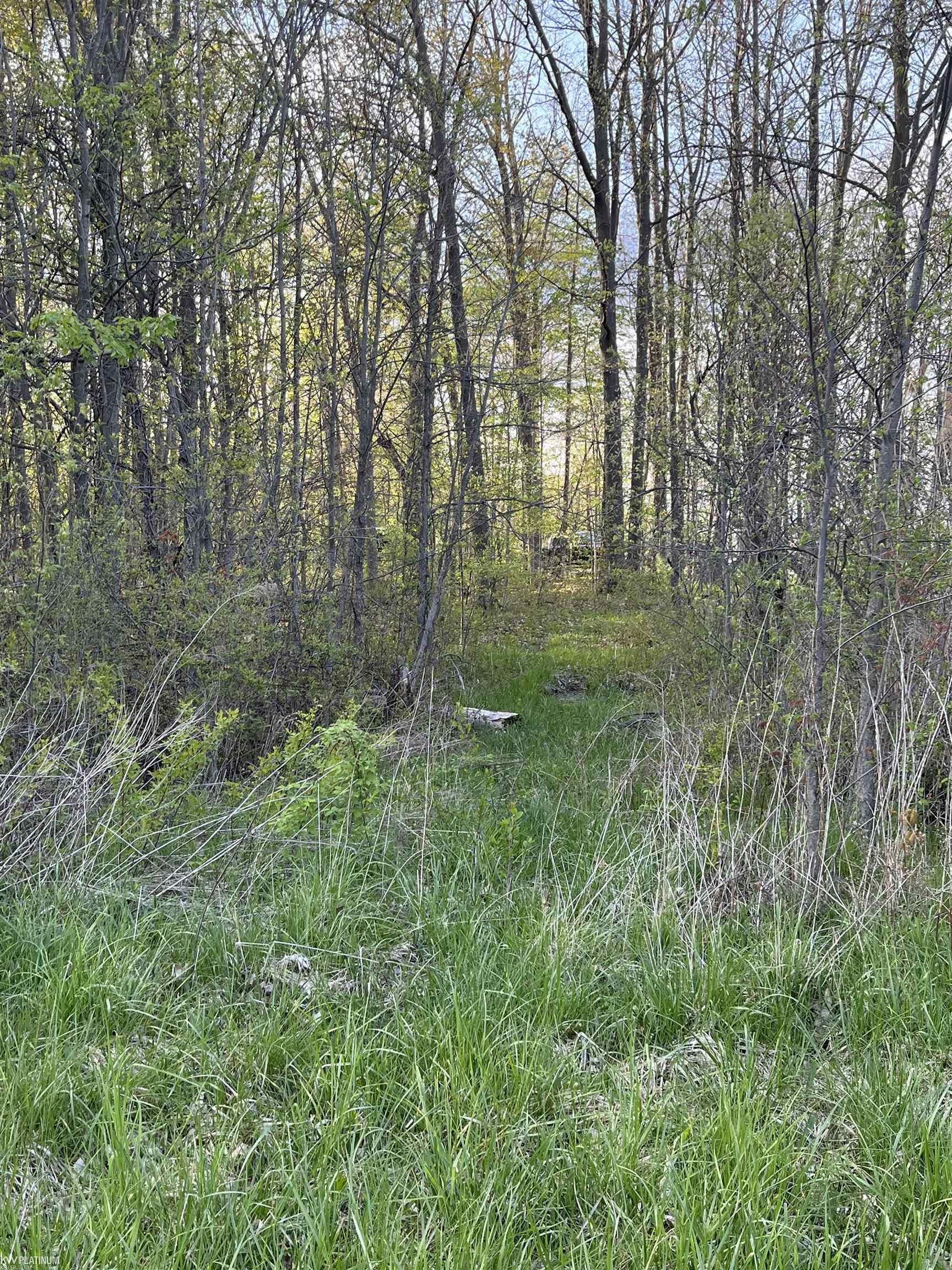 0 Fox Ridge Lane Allenton, MI 48002 - Photo 4 of 17