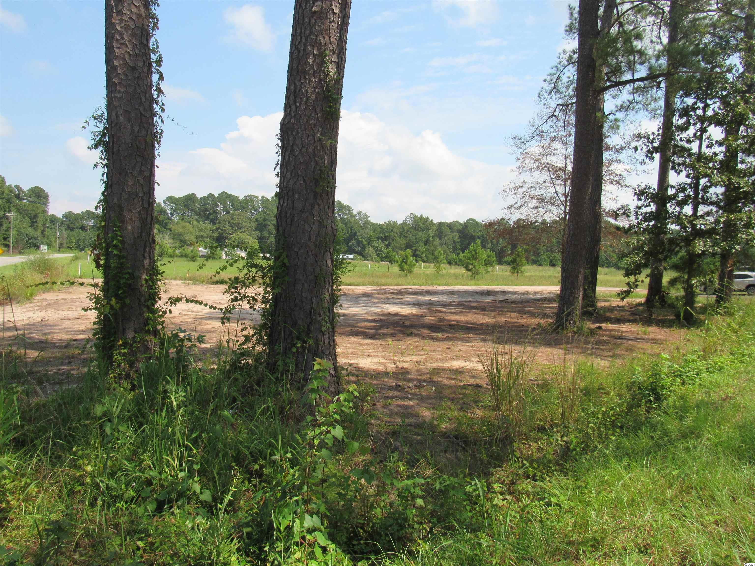 100 Pond Road Longs, SC 29568 - Photo 1 of 10