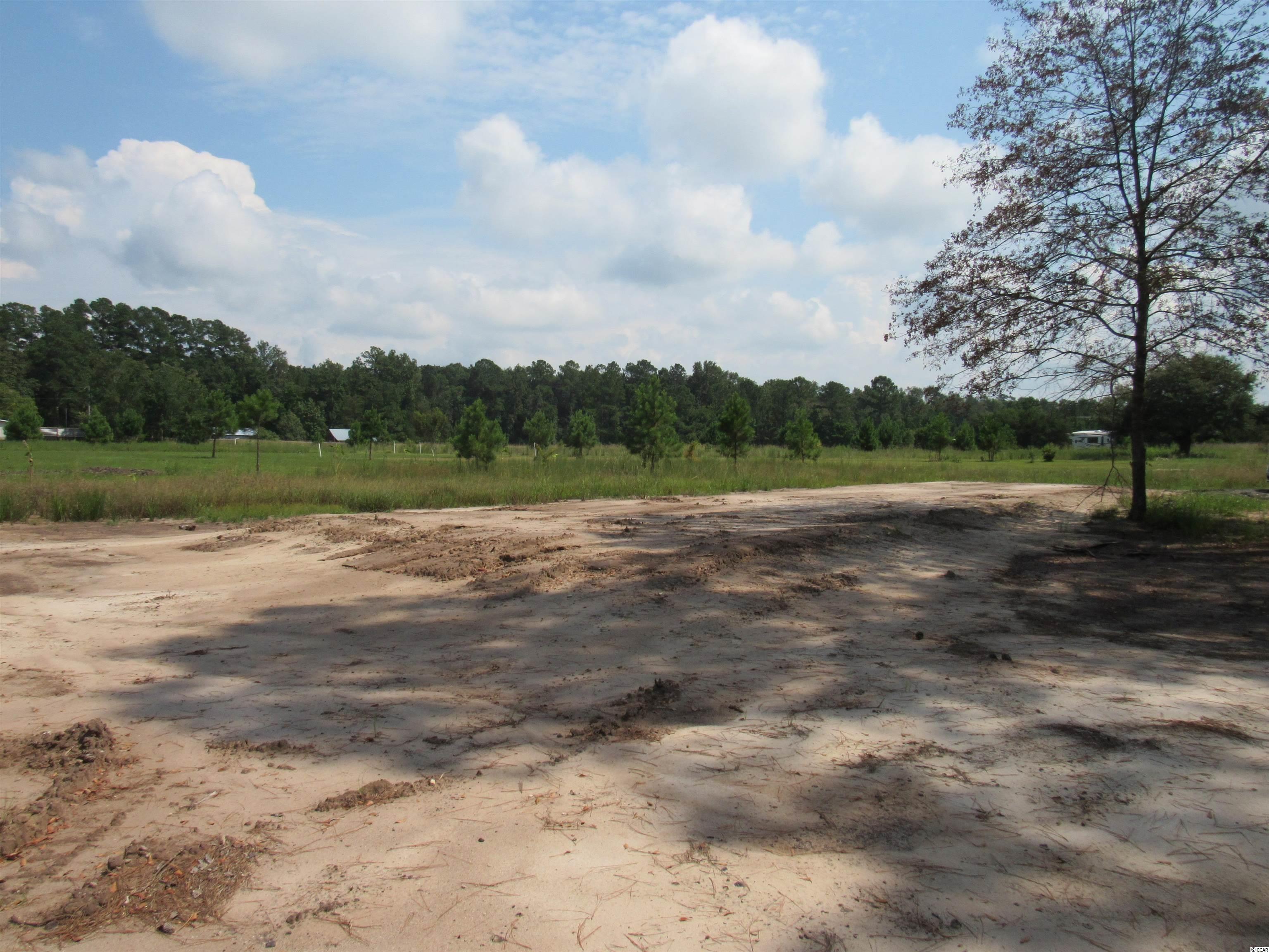 100 Pond Road Longs, SC 29568 - Photo 3 of 10