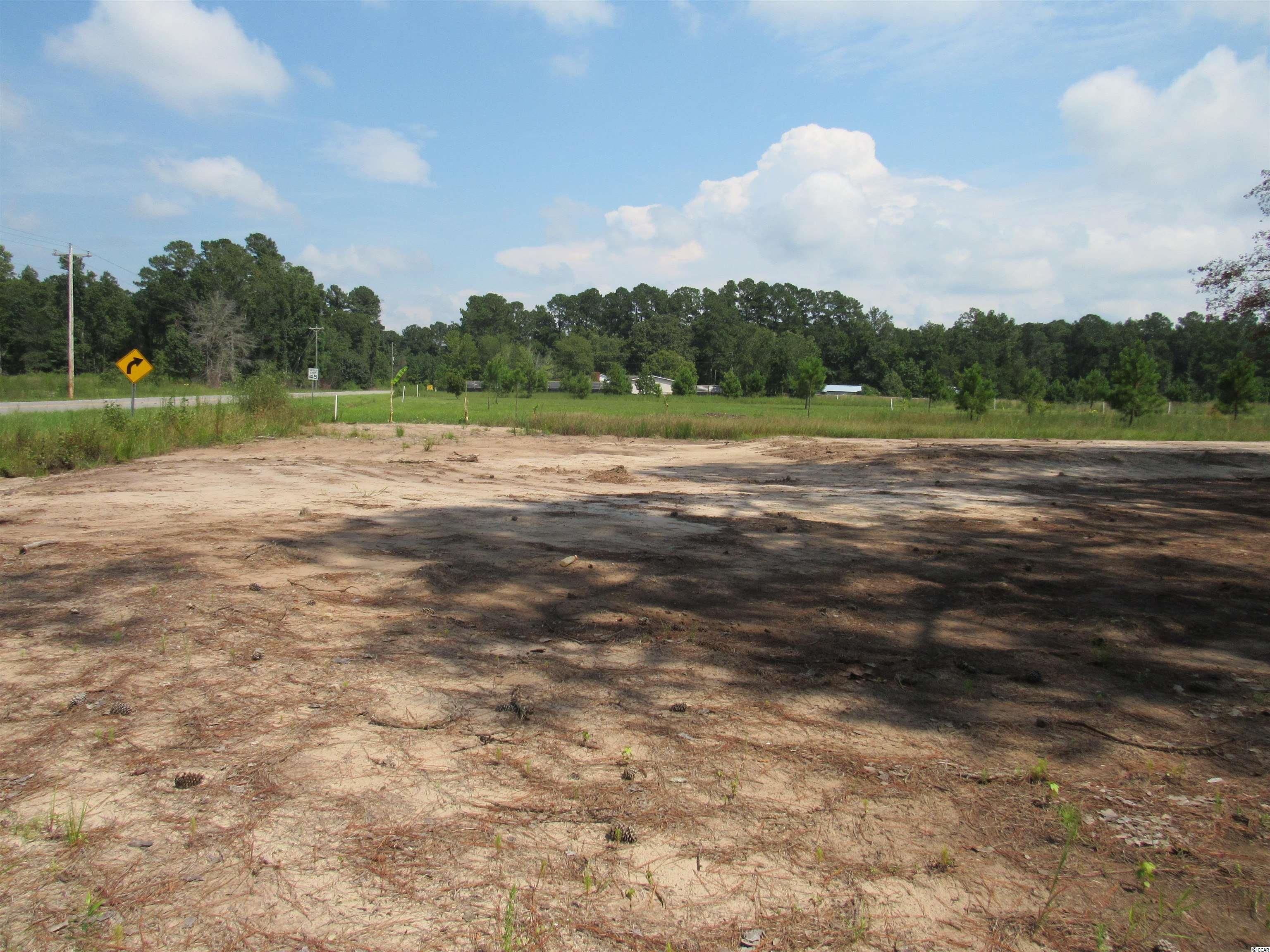 100 Pond Road Longs, SC 29568 - Photo 4 of 10