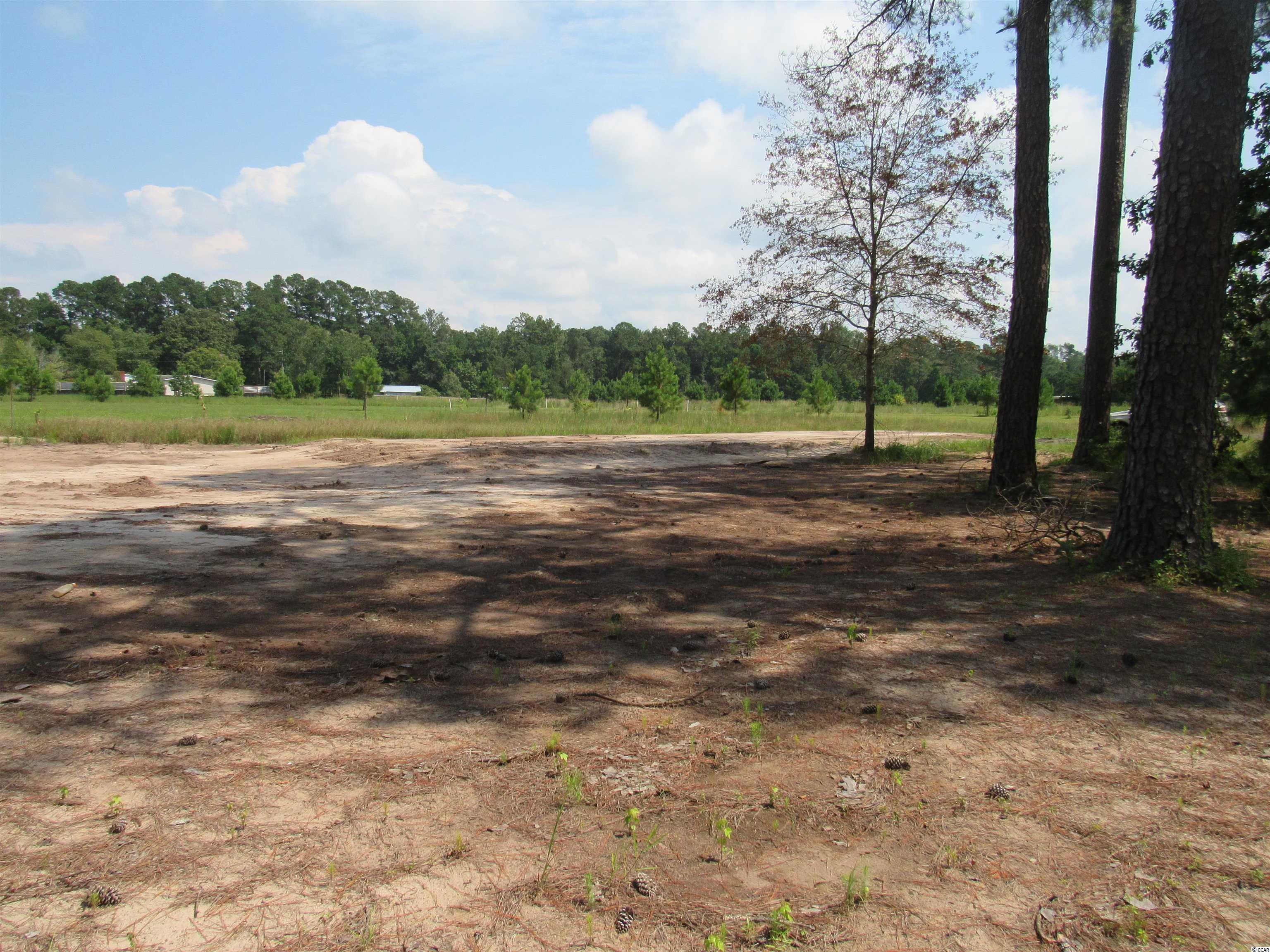 100 Pond Road Longs, SC 29568 - Photo 5 of 10