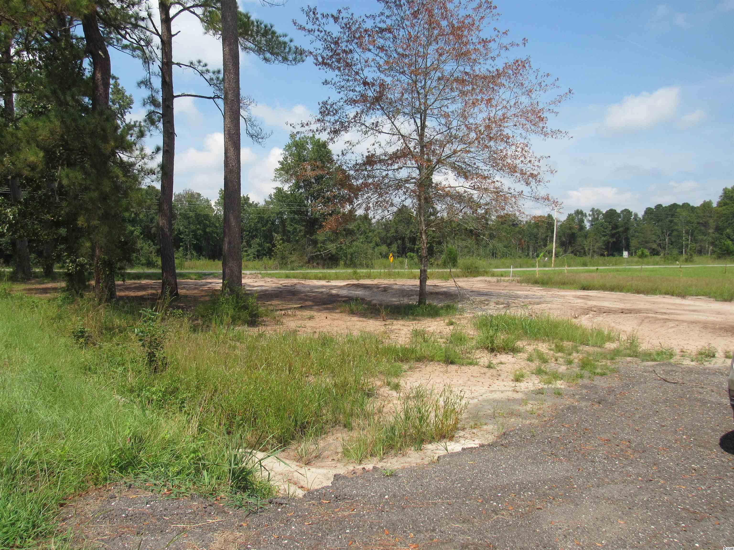 100 Pond Road Longs, SC 29568 - Photo 6 of 10