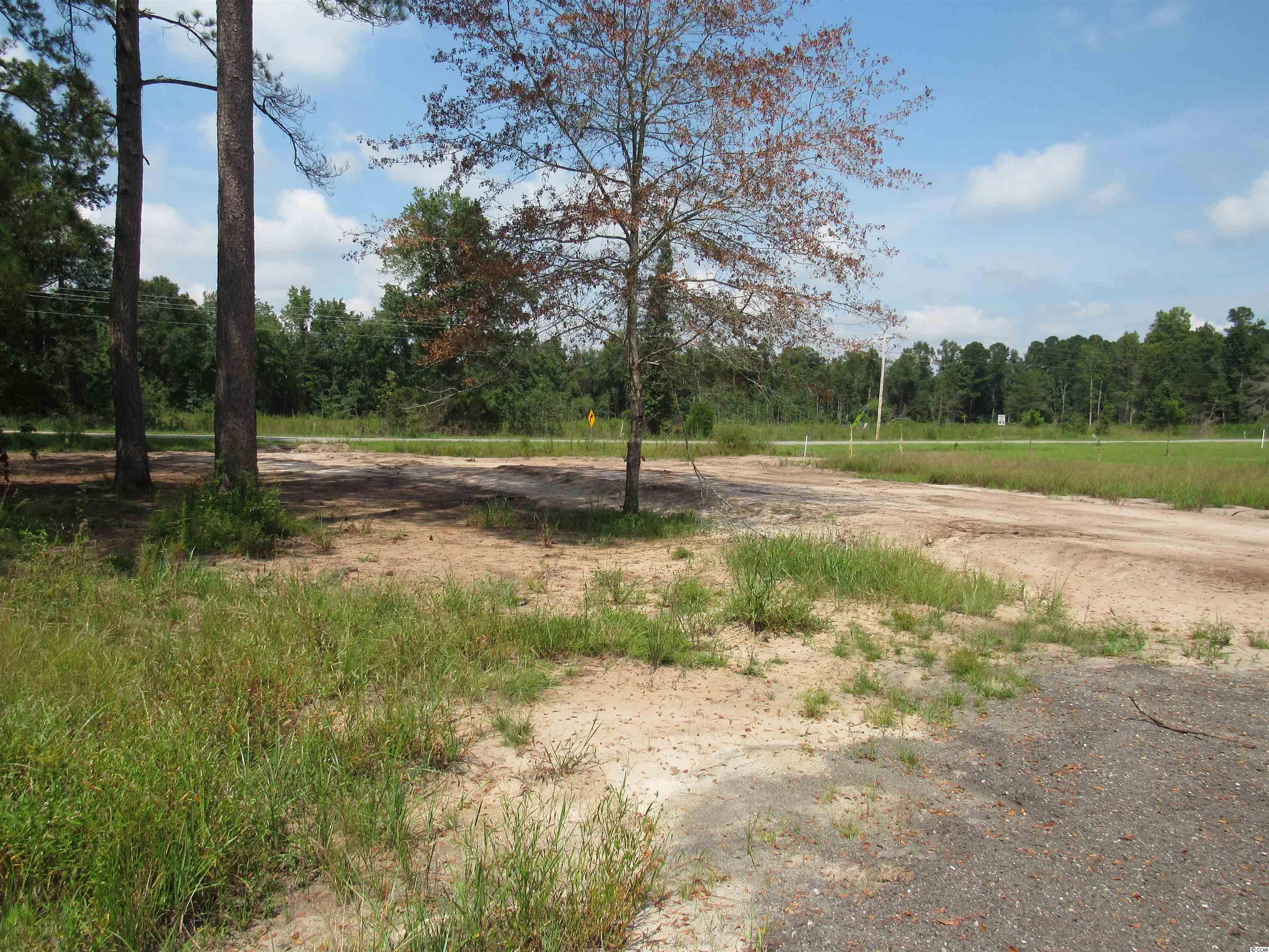 100 Pond Road Longs, SC 29568 - Photo 7 of 10