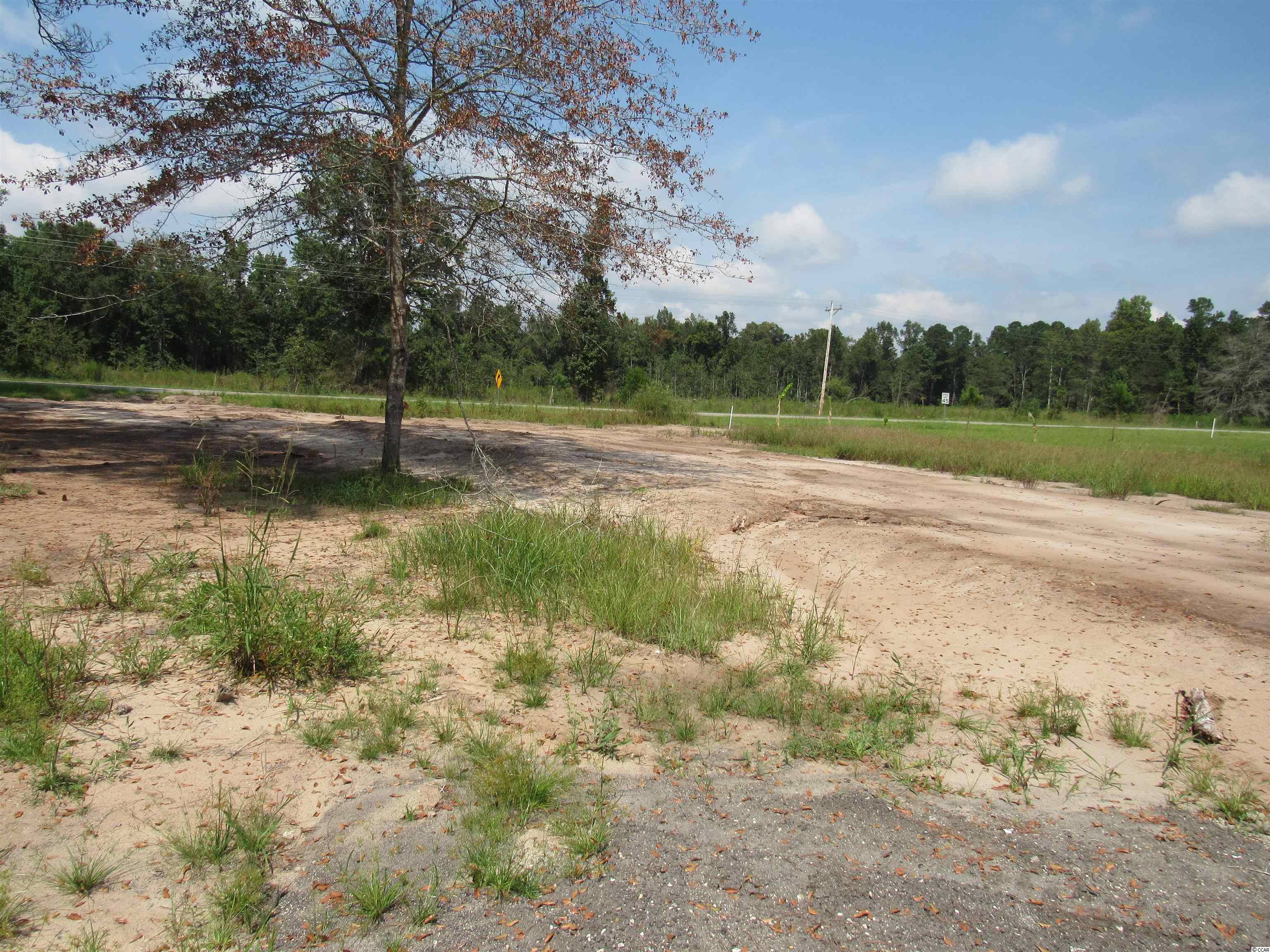 100 Pond Road Longs, SC 29568 - Photo 8 of 10
