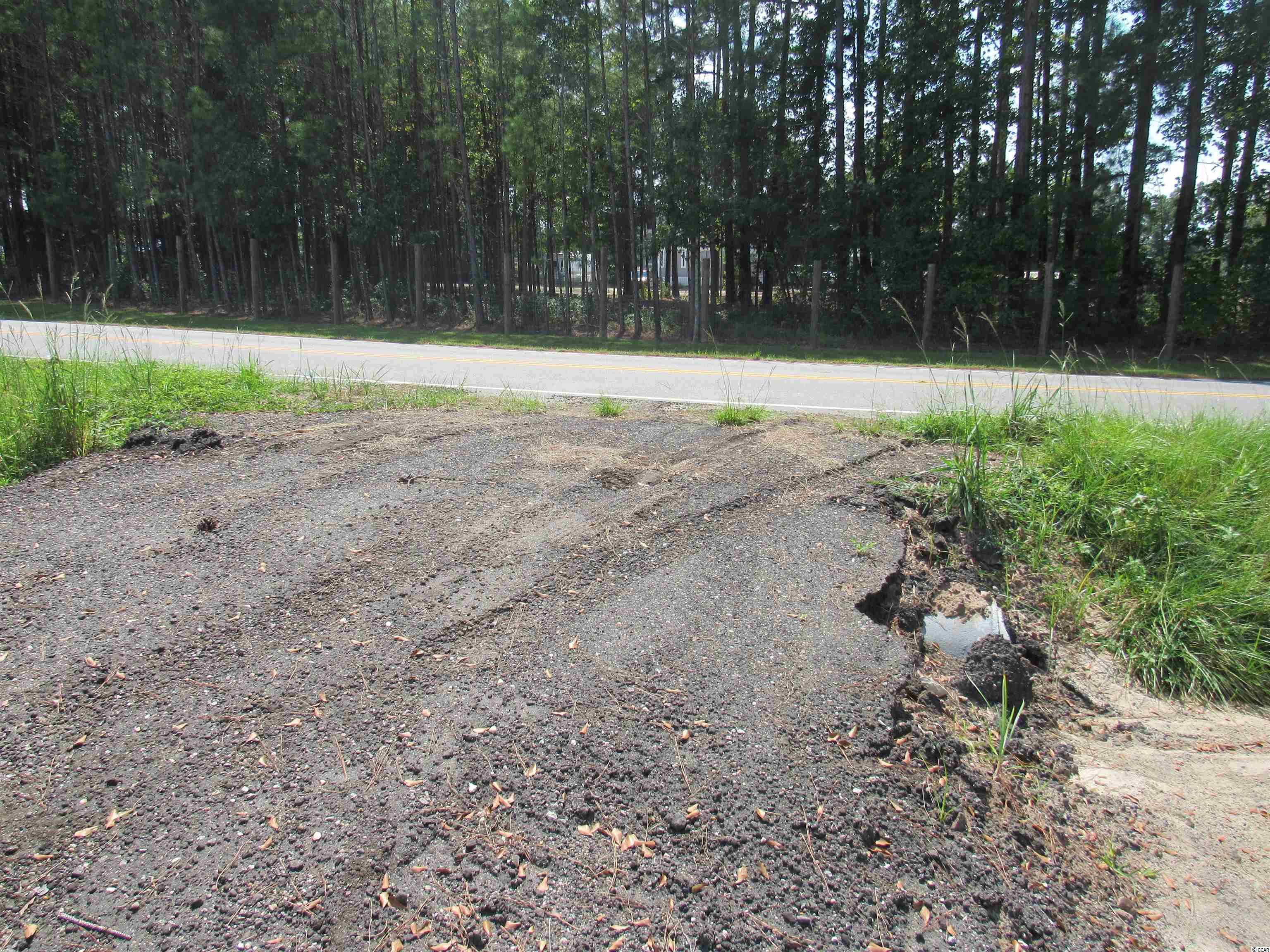 100 Pond Road Longs, SC 29568 - Photo 9 of 10